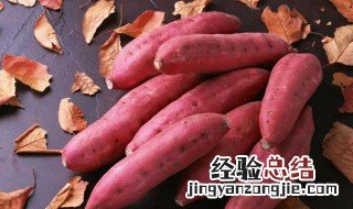 地瓜有什么食用禁忌 食用红薯有哪些禁忌需要知道