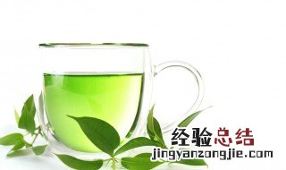什么茶属于绿茶范围 什么茶属于绿茶的范围