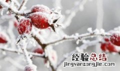 冬季温暖人心的短句 冬季温暖人心的短句子