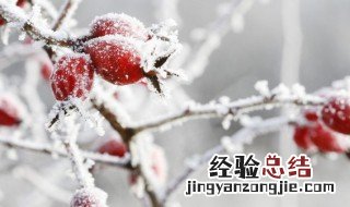 冬季温暖人心的短句 冬季温暖人心的短句子