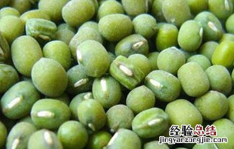 薏米和什么一起煮粥最好 薏米和什么一起煮粥最好吃