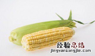 苞米煮多长时间能熟 苞米煮多长时间能熟了