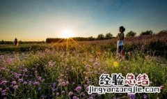 济南香草园拓展基地 济南香草园几月去最好