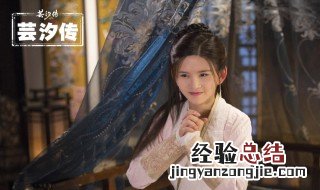 芸汐传演员表 这部剧的剧情是什么