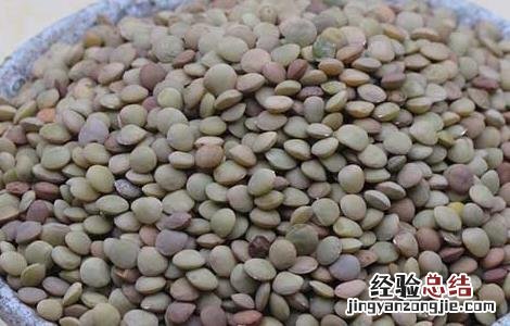 小扁豆的功效与作用 小扁豆的功效与作用吃法大全