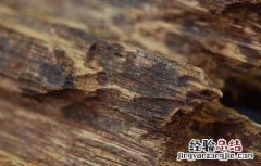 奇楠沉香真假辨别 奇楠沉香怎么鉴别真假