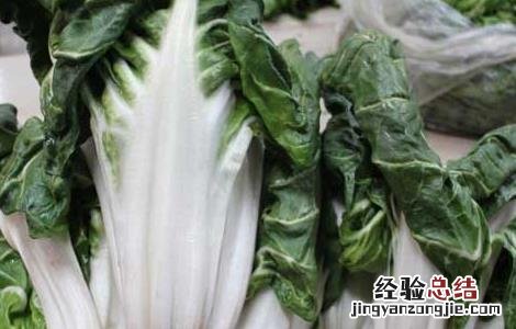 牛皮菜的营养价值高不高 牛皮菜的营养价值