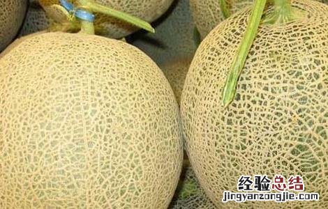 哈密瓜怎么切才好看 哈密瓜怎么切才好看好吃