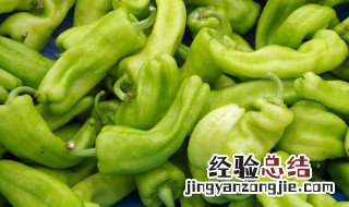 五香茶干炒青椒 五香茶干怎么做好吃