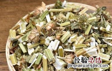 益母草茶怎么喝效果好 益母草茶怎么喝效果好呢