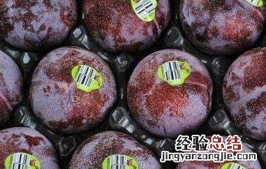 红布李的功效和作用 红布李的功效和作用及禁忌