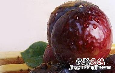 红布李的功效和作用 红布李的功效和作用及禁忌