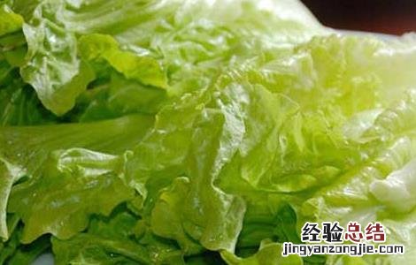 春菜的营养价值及功效与作用 春菜的营养价值