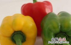 彩椒的营养价值