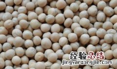 白豌豆的功效与作用 白豌豆的功效与作用营养价值