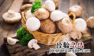 蘑菇怎么清洗干净 蘑菇怎么清洗才干净