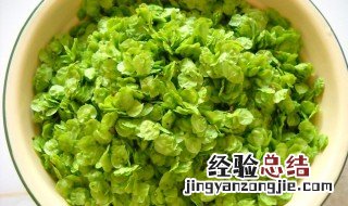 榆钱怎么吃 榆钱怎么吃法