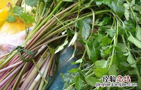 水芹菜的功效与作用及食用方法 水芹菜的功效与作用