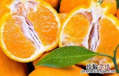 丑橘的功效与作用上火吗 丑橘的功效与作用