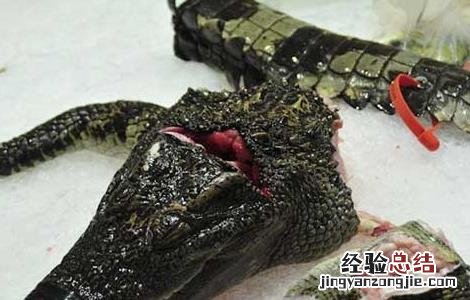 鳄鱼肉的功效与作用