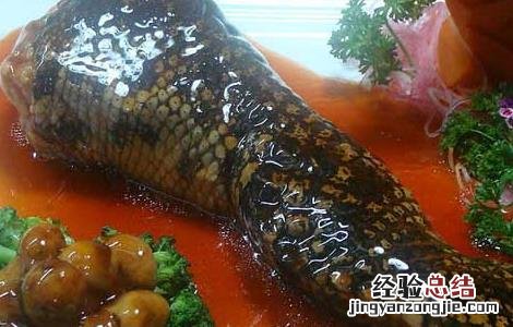 鳄鱼肉的功效与作用
