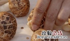 蘑菇小馒头的做法 蘑菇小馒头的做法和配方