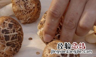 蘑菇小馒头的做法 蘑菇小馒头的做法和配方