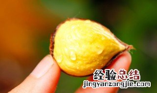 栗子怎么煮好扒皮 栗子好扒皮的煮法
