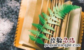 秦始皇为什么不杀赵高 秦始皇不杀赵高的原因?