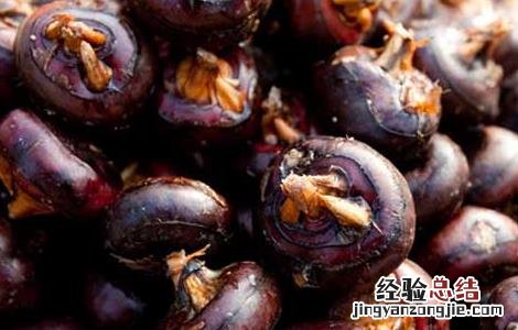 荸荠的营养价值与功效禁忌 荸荠的营养价值