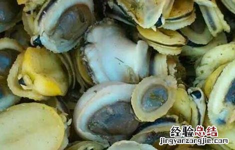 鲍鱼怎么清洗呢 鲍鱼怎么清洗干净