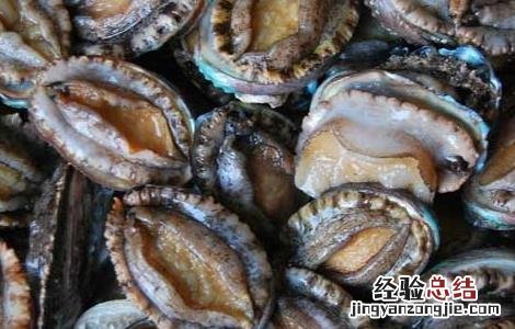 鲍鱼怎么清洗呢 鲍鱼怎么清洗干净