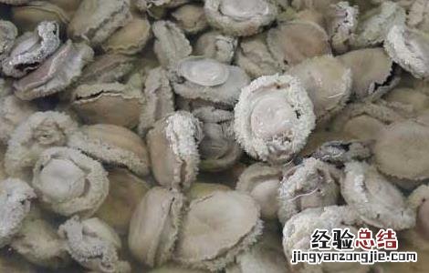 鲍鱼怎么清洗呢 鲍鱼怎么清洗干净