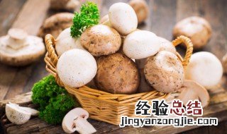 蘑菇肉丁炒饭 蘑菇炒肉丁