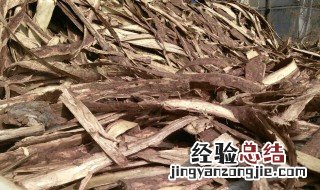 榆树皮的功效与作用中药 榆树皮的功效与作用