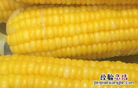 煮玉米需要多长时间 煮玉米需要多长时间 怎么煮更好吃