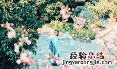 古风名字六个字仙气 古风名字六个字仙气男生