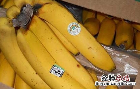 香蕉一天吃几个最好 香蕉一天吃几个最好呢