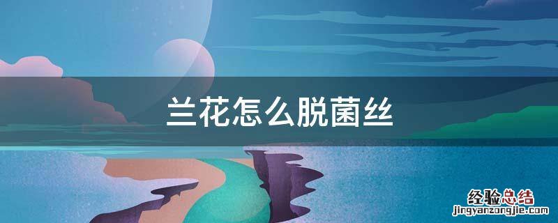 兰花怎么脱菌丝 兰花脱菌最好的办法