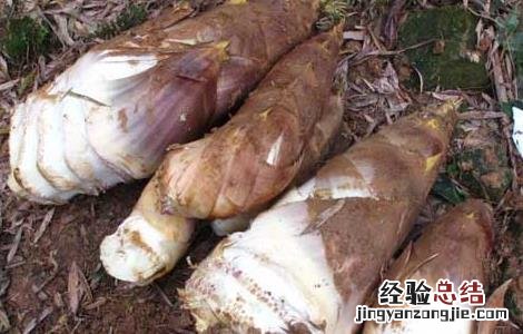 竹笋的营养价值 竹笋的营养价值及功效