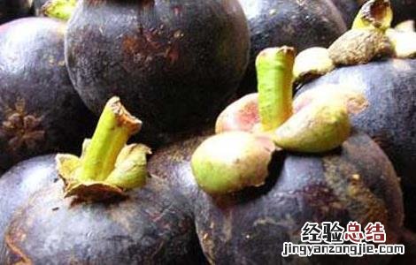 山竹里面有黄能吃吗 山竹里面有黄的可以吃吗
