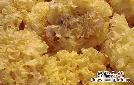 金燕耳银耳的营养价值 银耳的营养价值