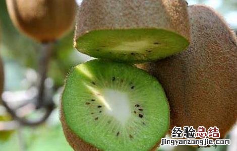 猕猴桃可以放冰箱吗 猕猴桃可以放冰箱吗可以放几天
