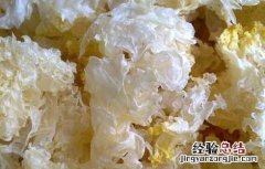 银耳的功效与作用禁忌 哪些人不适合吃 银耳的功效与作用