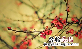 一剪梅译文注释 一剪梅怀旧原文翻译