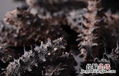 孕妇海参什么时候吃最好 海参什么时候吃最好