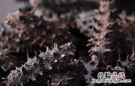 孕妇海参什么时候吃最好 海参什么时候吃最好