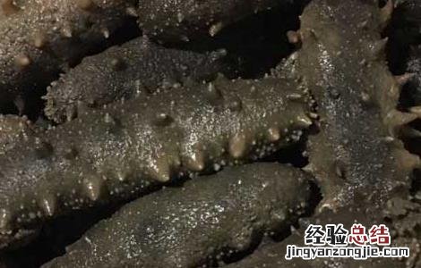 孕妇海参什么时候吃最好 海参什么时候吃最好
