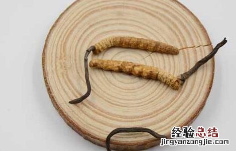 冬虫夏草一天吃几根 冬虫夏草一天吃几根合适