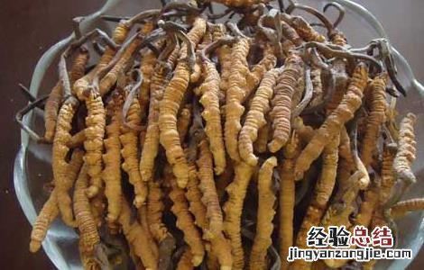 冬虫夏草一天吃几根 冬虫夏草一天吃几根合适